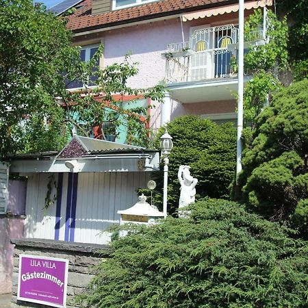 Lila Villa Schwenningen Villingen-Schwenningen Bagian luar foto