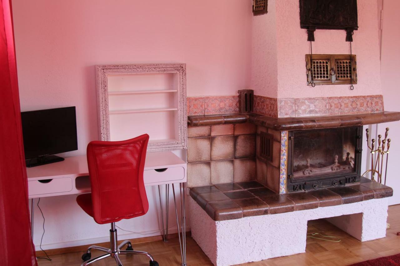 Lila Villa Schwenningen Villingen-Schwenningen Bagian luar foto